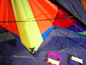 Go fly a kite - The mini edge Bild 7