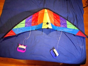 Go fly a kite - The mini edge Bild 8