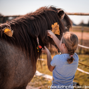 Pferdekurse für Kinder in Gauting Bild 3