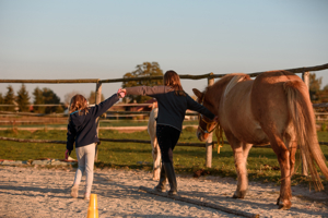 Pferdekurse für Kinder in Gauting Bild 5