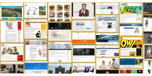 Website, Onlineshop, Online Marketing - TAGWORX! Bild 3