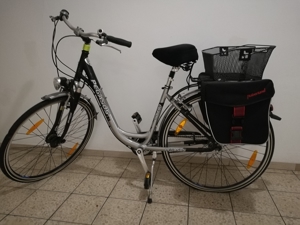 Fahrrad Damen Pegasus