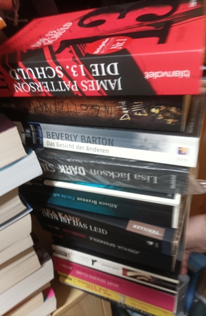 BÜCHER   Thriller pro Stück 2,50 EUR  Bild 2