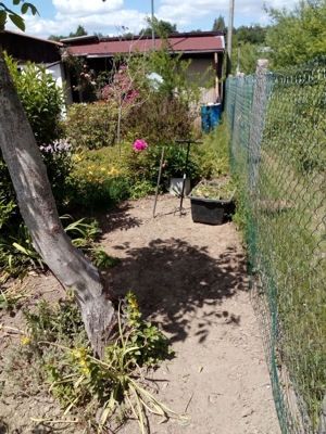 Winter Frühjahr 2024, Gartenarbeiten: Befreien sie ihren Garten von Unkraut mit Rindenmulch Bild 4