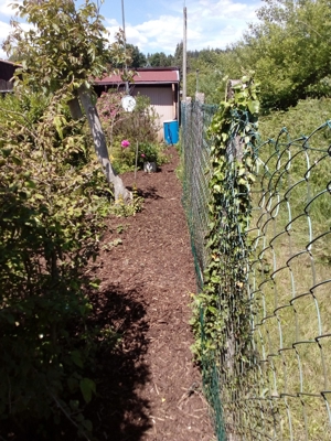 Winter Frühjahr 2024, Gartenarbeiten: Befreien sie ihren Garten von Unkraut mit Rindenmulch Bild 1