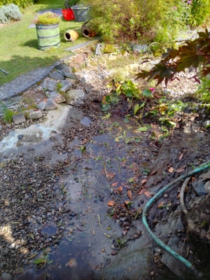 Frühjahr 2024: Gartenarbeiten: Sie wollen eine Teich anlegen oder bestehenden Teich reinigen? Bild 11