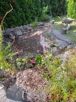 Frühjahr 2024: Gartenarbeiten: Sie wollen eine Teich anlegen oder bestehenden Teich reinigen? Bild 10