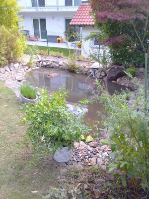 Frühjahr 2024: Gartenarbeiten: Sie wollen eine Teich anlegen oder bestehenden Teich reinigen? Bild 3