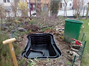 Frühjahr 2024: Gartenarbeiten: Sie wollen eine Teich anlegen oder bestehenden Teich reinigen? Bild 4