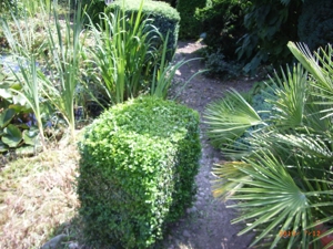 2025, 2026: Coronazeiten und Gartenarbeiten Bild 3