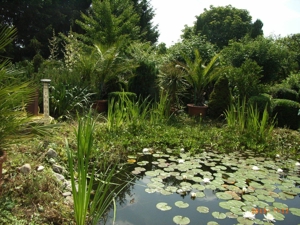 2025, 2026: Coronazeiten und Gartenarbeiten Bild 13