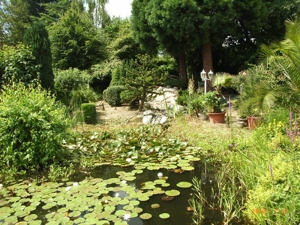 2025, 2026: Coronazeiten und Gartenarbeiten Bild 2