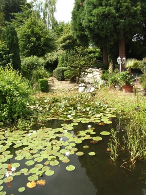 2025, 2026: Coronazeiten und Gartenarbeiten Bild 12