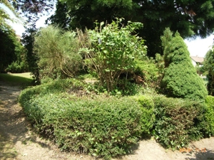 2025, 2026: Coronazeiten und Gartenarbeiten Bild 10