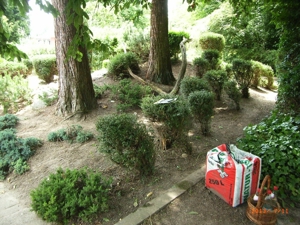 2025, 2026: Coronazeiten und Gartenarbeiten Bild 4