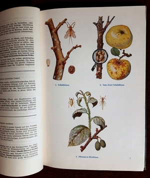 Unsere Gartenschädlinge 5. Auflage von 1961 Bild 7