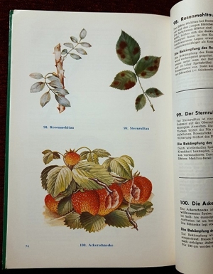 Unsere Gartenschädlinge 5. Auflage von 1961 Bild 6