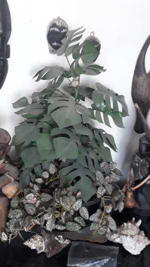 10-teiliges Set aus edlen Deko-Kunst-Pflanzen in hochwertigen Töpfen Bild 5