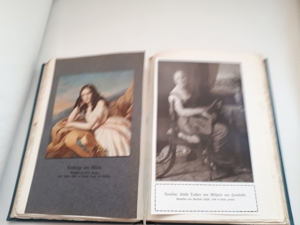 Buch / Antik Wilhelm und Caroline von Humboldt in ihren Briefen Bild 6