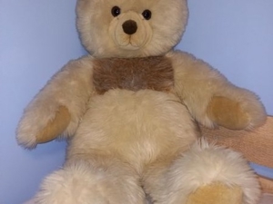 Teddybär