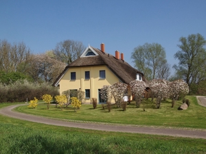 Ferienhaus mit Reetdach auf Rügen von Privat mieten! Bild 1