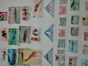 internationale Briefmarkensammlung 3alben zu verkaufen Bild 1