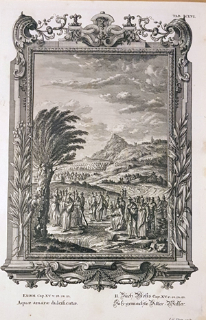 1731 Bibel Exodus Altes Testament Kupferstich antik Grafik Genesis Physica Sacra Bild 7