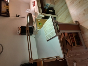 Werkstattleuchte mit Lupe Bild 2