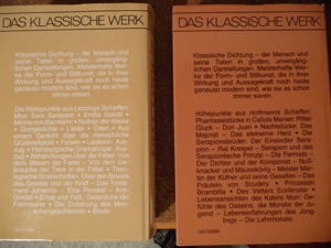 Das klassische Werk - Deutsche Klassiker (Goethe,Schiller u.a.) Bild 9