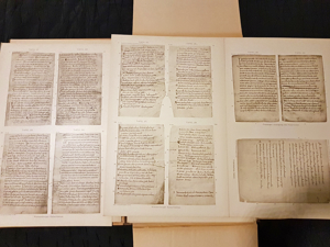 Handschriften Magda Enneccerus Die Ältesten Deutschen Sprach-Denkmäler L. Verlag Frankfurt 1897. Bild 10