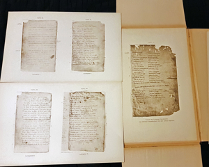 Handschriften Magda Enneccerus Die Ältesten Deutschen Sprach-Denkmäler L. Verlag Frankfurt 1897. Bild 6