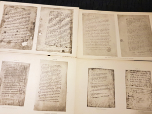 Handschriften Magda Enneccerus Die Ältesten Deutschen Sprach-Denkmäler L. Verlag Frankfurt 1897. Bild 8