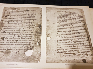 Handschriften Magda Enneccerus Die Ältesten Deutschen Sprach-Denkmäler L. Verlag Frankfurt 1897. Bild 11