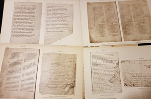 Handschriften Magda Enneccerus Die Ältesten Deutschen Sprach-Denkmäler L. Verlag Frankfurt 1897. Bild 5