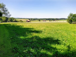 * Ruhiges Baugrundstück Grundstück mit Baugenehmigung EFH * Bild 3