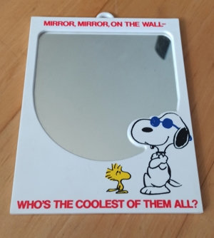 Snoopy Spiegel mit Spruch 21x16,5x1cm Gebraucht guter Zustand Bild 1