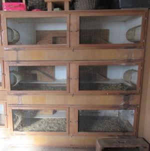Meerschweinchen   Kaninchenstall - 6 Boxen (6 x 80 x 90 cm)