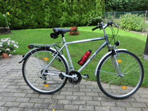 Alu Trekking 28 Zoll Herrenfahrrad Bild 1