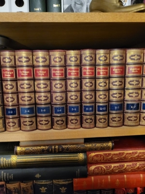 22 Bücher um 1900 Werke von Goethe, Heine, Ihsens, Körner, Lessing, Shakespeare und Schiller. Bild 4
