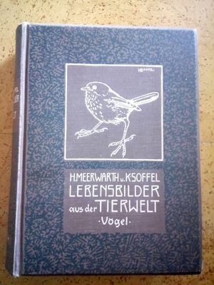 Lebensbilder aus der Tierwelt (Vögel)
