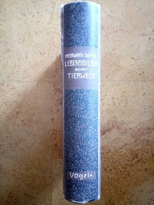 Lebensbilder aus der Tierwelt (Vögel) Bild 2
