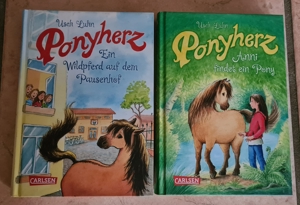 Ponyherz, Kinderbuch