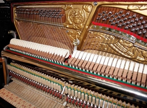 Klavier Grotrian-Steinweg 120, schwarz poliert, Nr. 41295, 5 Jahre Garantie Bild 7