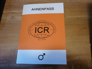 Goldendoodle gekörter Deckrüde  - kein Verkauf - nur Deckakt Bild 8