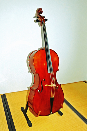 3/4 Cello Barockcello Bild 2
