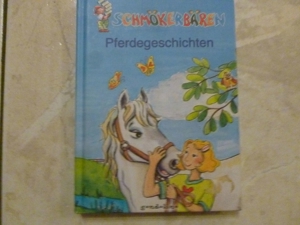 Mädchengeschichten, Schmökerbären und Pferdegeschichten Bild 2