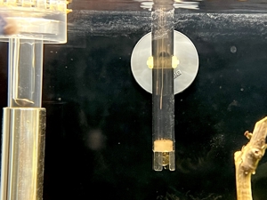Aquarium Dennerle Cube 60 Liter, Eheim Prof. 4+ Filter, CO2, LED Bild 9
