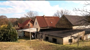 Einfamilienhaus mit grossem Grundstück in Lutherstadt Wittenberg Bild 4
