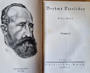 Brehms Tierleben - 4 Bände 1926 Bild 4