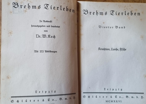 Brehms Tierleben - 4 Bände 1926 Bild 7